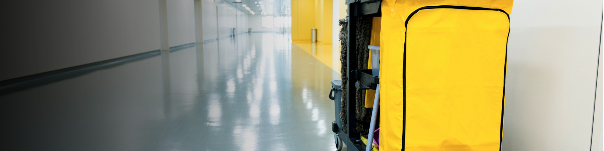 Cleaning cart in hallway